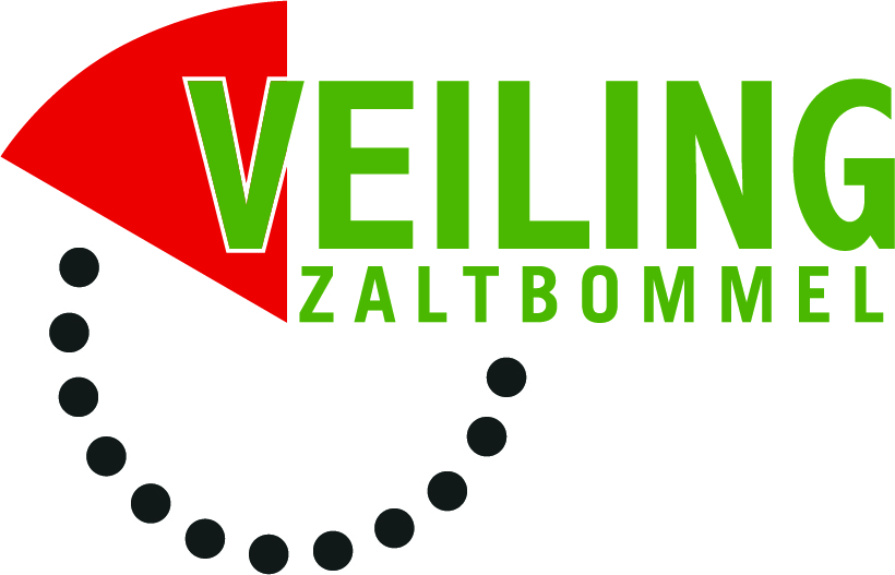 Logo-Veiling